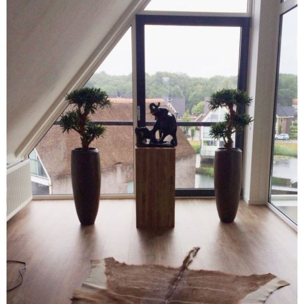 Podocarpus kunstbonsai deluxe 65 cm op voet 7