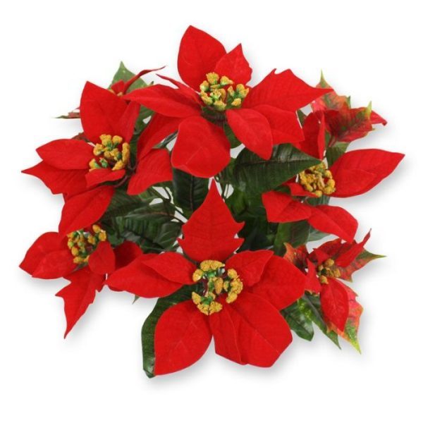 Poinsettia kunstboeket 40 cm rood De Poinsettia - ook wel Kerstster genoemd - is een mooie en bijzondere kunstplant