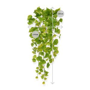 Hollandser dan dit gaat u het met deze verfijnd fraaie Populier kunsthangplant van 65 cm niet krijgen! De populier is uit één mal gegoten