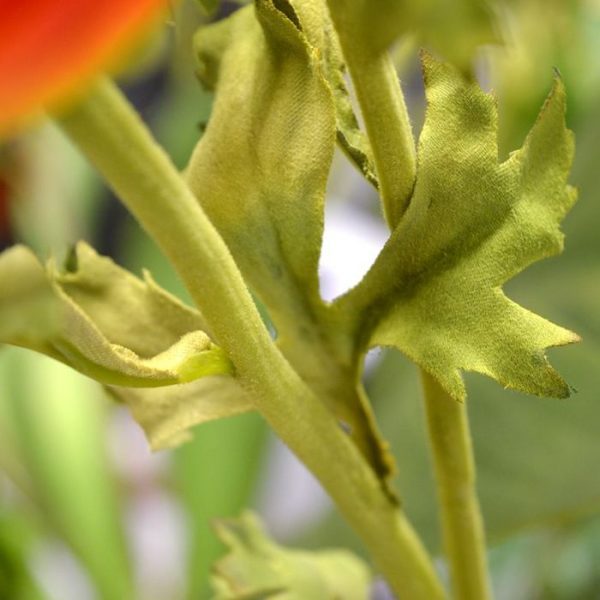 Ranonkel kunsttak deluxe 70 cm oranje 3