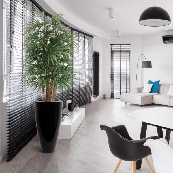 Raphis Kunstpalm Deluxe 160 cm 10