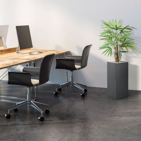 Raphis-kunstpalm-75-cm-5 Raphis kunstpalm 75 cm 5