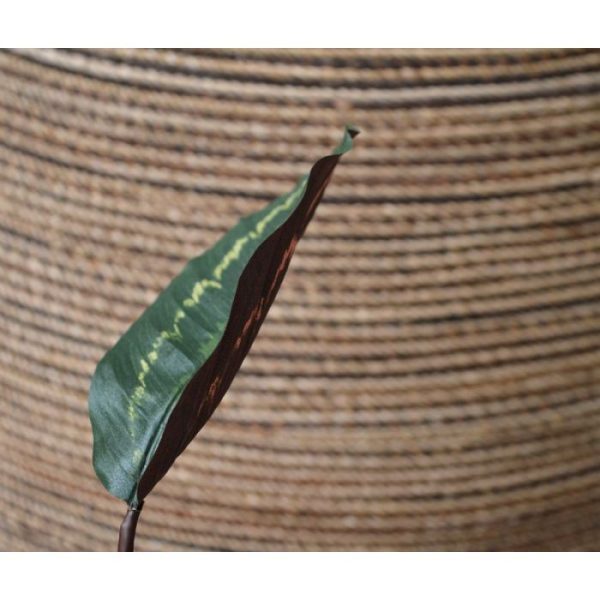 het bekende rode onderblad en een formaat van 18 x 11 cm. De totale lengte van de kunsttak is circa 50 cm.   Meer weten? Vraag ons naar de diverse mogelijkheden en toepassingen!