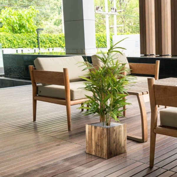 Royal Bamboe 70 cm groen 8