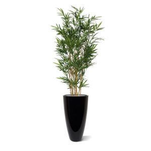 De Royal Bamboe kenmerkt zich doordat de blaadjes smaller zijn en de takken meer naar boven groeien in vergelijking met andere bamboe soorten. Een kunstboom van een zeer natuurgetrouwe topkwaliteit