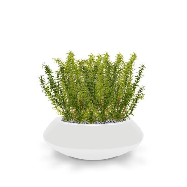 Dit kunststof Rozemarijn Boeket 40 cm is met zijn sprieterige blaadjes de perfecte basis voor een decoratief tafel- of vensterbank plantje in de horeca. Een ideaal kunstplantje om een mooie schaal mee op te steken! De hoogte van dit kunst Rozemarijn is inclusief steel ongeveer 45 cm en breedte is ongeveer 20 cm. In deze uitvoering wordt het kunstkruid geleverd als los boeket