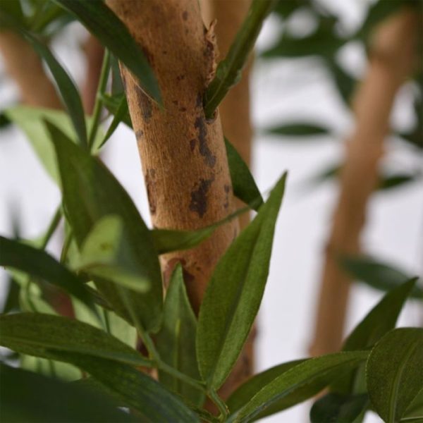 Ruscus-Deluxe-N-110-cm-3 is ongeveer 85 cm breed en wordt standaard in een plastic binnenpot geleverd. De Rucsus laat zich prachtig presenteren in een hoge sierpot