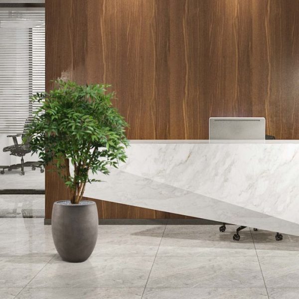 Ruscus-Deluxe-N-110-cm-6 Ruscus Deluxe N 110 cm 6