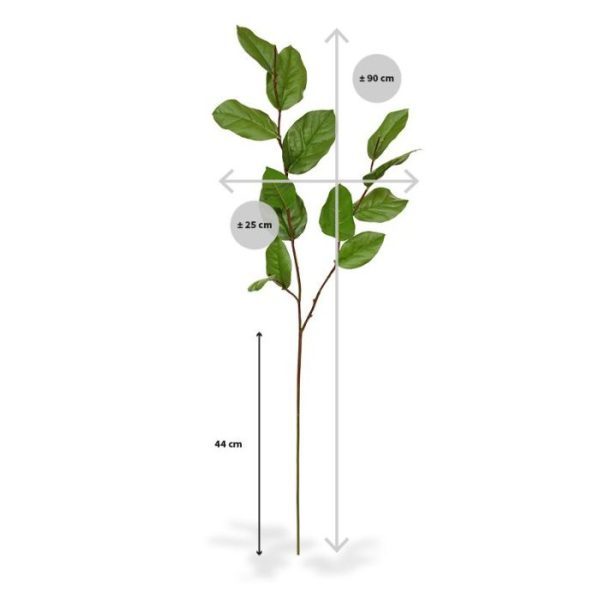 Salal kunstbladtak deluxe G 90 cm Deze Salal bladtak deluxe G 90 cm is de meest gebruikte bladtak in kunstboeketten. Het kunstzijden blad heeft een licht gekartelde rand en een perfect nagemaakte bladnerf. De kunsttak is zeer goed nagemaakt met meerdere zijtakken en 13 kunstzijden bladeren in verschillende grootes. De totale lengte van de kunsttak is ongeveer 90 cm. De breedte is ongeveer 25 cm. Vanaf 6 stuks geldt een voordeel prijs.