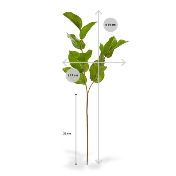 Deze Salal kunstbladtak deluxe 65 cm is de meest gebruikte bladtak in kunstboeketten. Het kunstzijden blad heeft een gekartelde rand en een perfect nagemaakte bladnerf. De kunsttak is zeer goed nagemaakt met meerdere zijtakken en 11 kunstzijden bladeren in verschillende grootes. De totale lengte van de kunsttak is ongeveer 63 cm. De breedte is ongeveer 15 cm. Vanaf 6 stuks geldt een voordeel prijs.