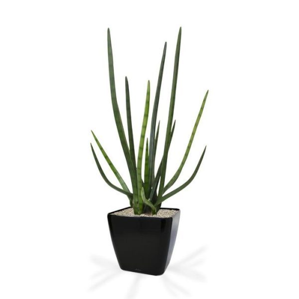 Kunstplanten Sanseveria Cylindrica kunstplant 75 cm groen 1