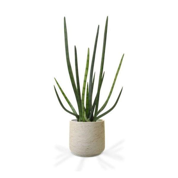 Groene kunstplanten Sanseveria Cylindrica kunstplant 75 cm groen 2