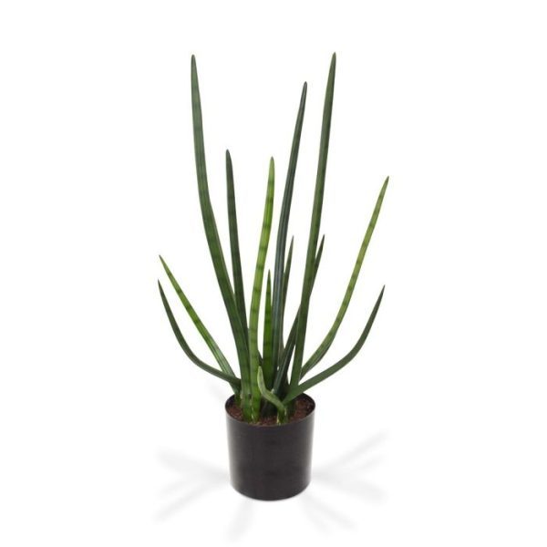 Sanseveria-Cylindrica-kunstplant-75-cm-groen-9 Sanseveria Cylindrica kunstplant 75 cm groen 9