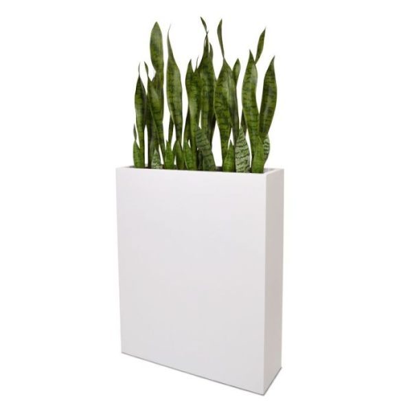 samen met de 80 cm en de 40 cm