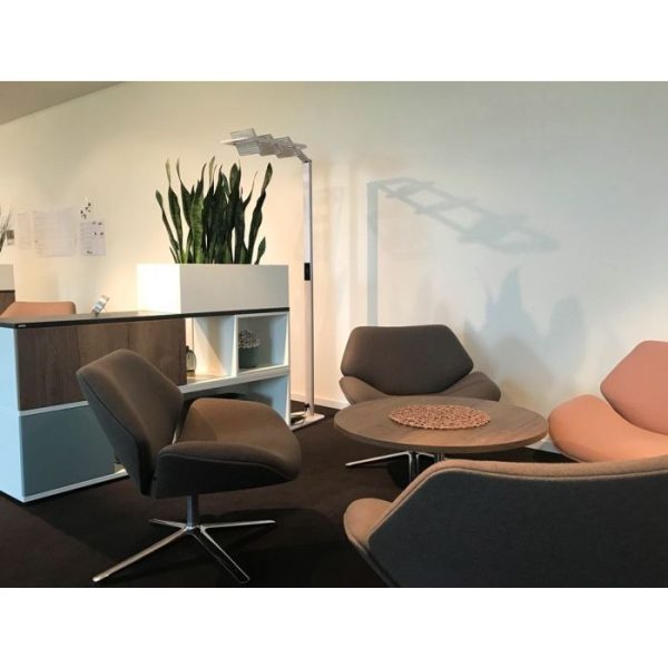 Sanseveria kunstplant 60 cm steker 4