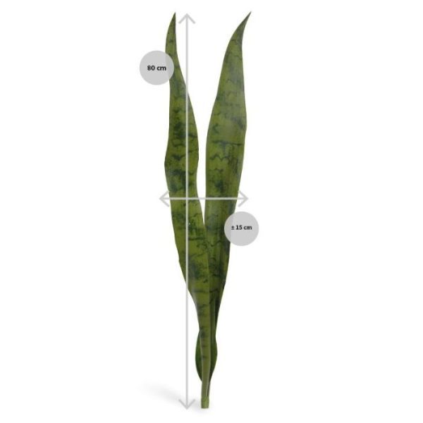 Kunstboeketten bij uitstek goed verwerken als arrangement in hoge smalle bakken. Zo kunt u op een heel slimme wijze natuurlijke scheidingen aanbrengen. De hoogte van deze Sanseveria steker is ongeveer 80 cm