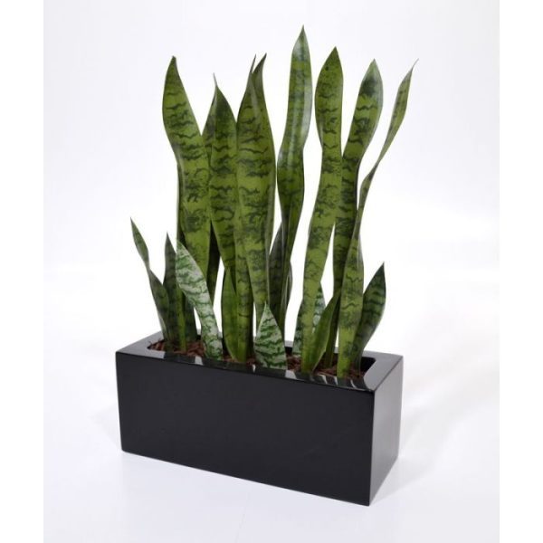 Sanseveria kunstplant 80 cm steker De Sanseveria's zijn populaire kantoorplanten. Deze bijzonder goed nagemaakte kunstplant is een mooie sfeermaker voor elke ruimte. Deze steker laat zich