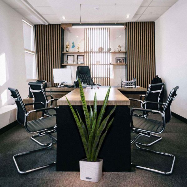 Sansevieria kunstplant 78 cm 5