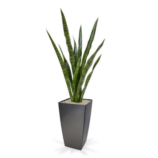 Sansevieria kunstplant 78 cm 8