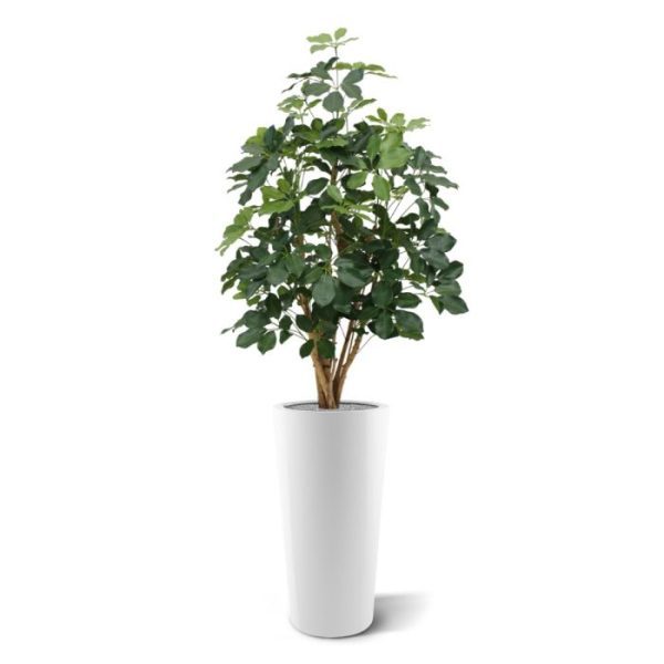 Schefflera Exotica 120 cm FR kunstplant 10