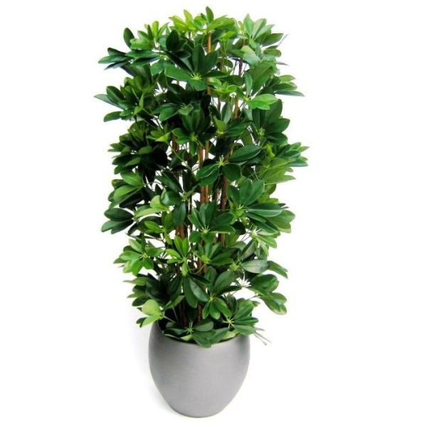 Schefflera kolom 120cm Kunstplant 3