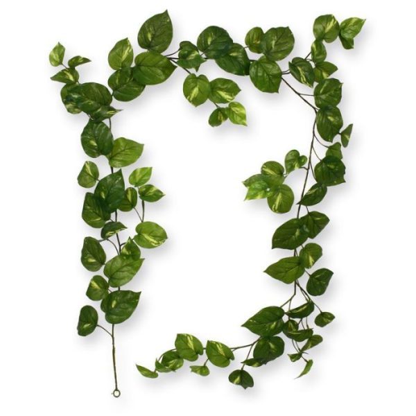 Scindapsus Guirlande RT 180 cm 3