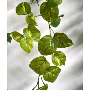 Deze kunstzijden Scindapsus Guirlande ziet er wel heel natuurlijk uit. Door zijn diversiteit aan blaadjes in verschillende groottes en afmetingen zal menigeen moeite hebben om te zien dat het hier om een kunstplant gaat! De Scindapus kunstslinger (ook wel eens Pothos genoemd) wordt veel gebruikt om over verwarmingselementen of kasten te hangen. Met de speciale 'Real Touch' (RT) uitvoering voelt deze kunstplant ook nog eens heel echt aan. De lengte van de kunst Guirlande is ongeveer 180 cm. Profiteer van de voordeel prijs vanaf 6 stuks