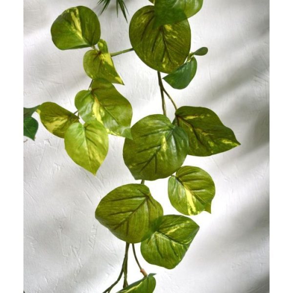 Deze kunstzijden Scindapsus Guirlande ziet er wel heel natuurlijk uit. Door zijn diversiteit aan blaadjes in verschillende groottes en afmetingen zal menigeen moeite hebben om te zien dat het hier om een kunstplant gaat! De Scindapus kunstslinger (ook wel eens Pothos genoemd) wordt veel gebruikt om over verwarmingselementen of kasten te hangen. Met de speciale 'Real Touch' (RT) uitvoering voelt deze kunstplant ook nog eens heel echt aan. De lengte van de kunst Guirlande is ongeveer 180 cm. Profiteer van de voordeel prijs vanaf 6 stuks