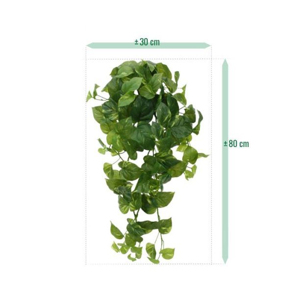 Scindapsus-Kunsthangplant-80-cm-RT-3 Scindapsus Kunsthangplant 80 cm RT 3