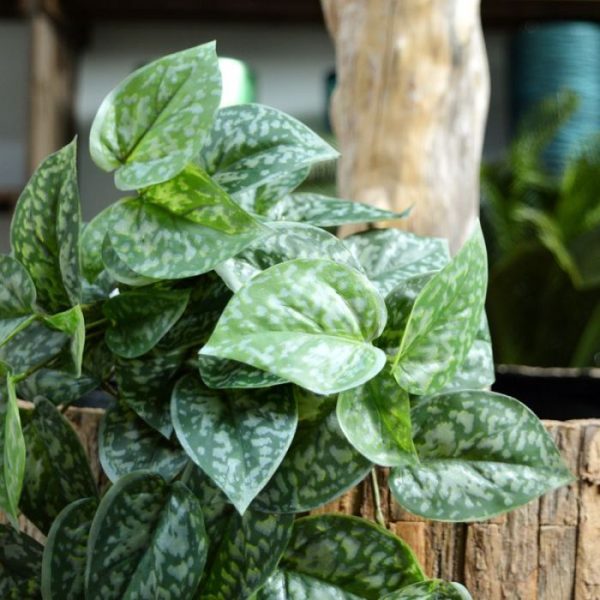 Kunsthangplanten Scindapsus Pictus kunsthangplant 60 cm 2