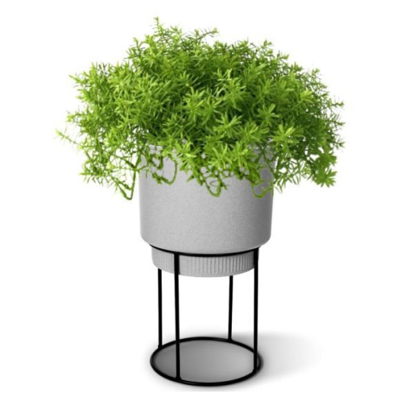 met meerdere op een rij