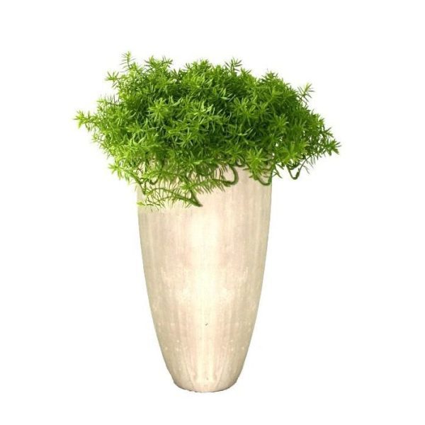 of in een luxe platte schaal