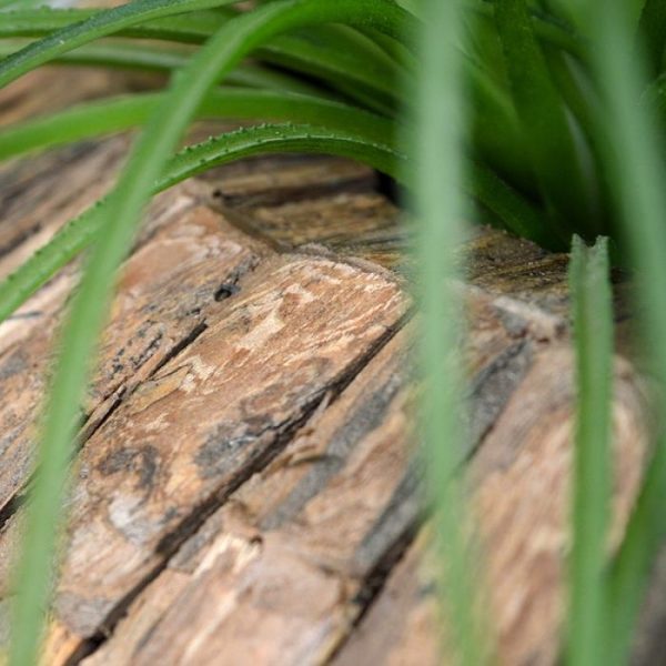 Luxe plantenbakken bijzonder decoratief en geschikt voor heel veel verschillende kunstplanten. De buitenmaten zijn ø 50 x 40 cm. De binnenmaat is ø ±25 x 39 cm.