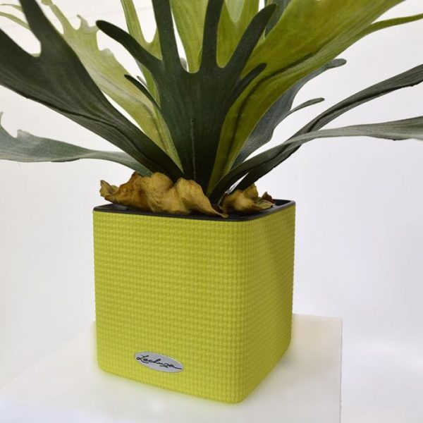 Kunststof plantenbakken 5x16 cm. In de losse binnenbak past een pot van ø 12 x 10 cm (Cube 14) of ø 14