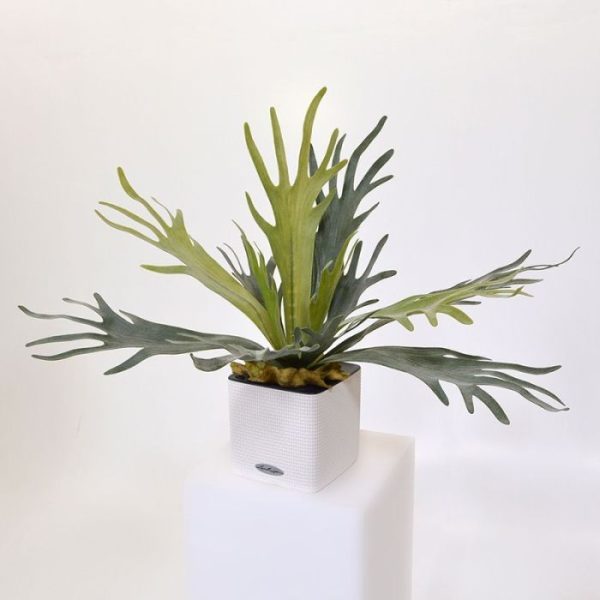 5x16 cm. In de losse binnenbak past een pot van ø 12 x 10 cm (Cube 14) of ø 14