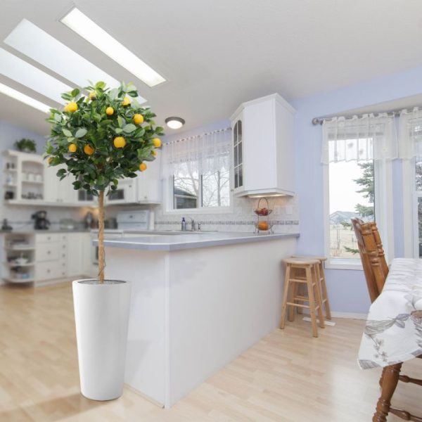 Sinaasappel kunstboom op stam 120 cm 5