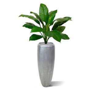 De koning onder de lepelplant. Deze grote Spathiphyllum King kunstplant 80 cm is een lust voor het oog. Opgebouwd met 16 grote kunstzijden bladeren in verschillende kleuren en variaties