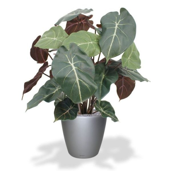 Kunstplanten die ideaal past binnen een modern interieur maar ook veel als kantoorplant wordt gebruikt. Door zijn opbouw