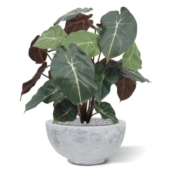 Syngonium-kunstplant-60-cm-6 Syngonium kunstplant 60 cm 6