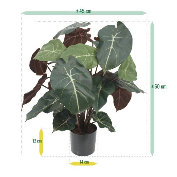 Syngonium kunstplant 60 cm De Syngonium is een bijzondere kunstplant