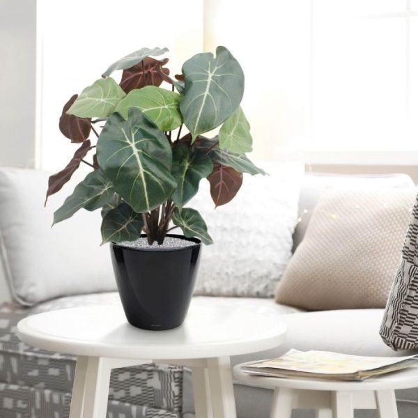 Syngonium-kunstplant-60-cm-7 Syngonium kunstplant 60 cm 7