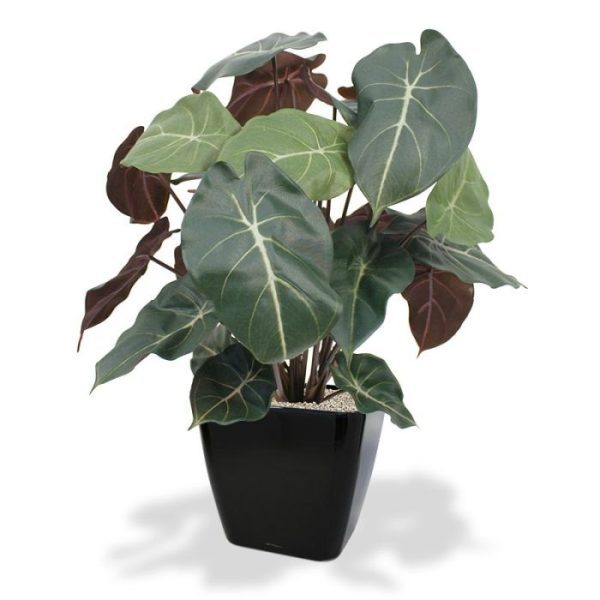 Syngonium-kunstplant-60-cm-9 Syngonium kunstplant 60 cm 9