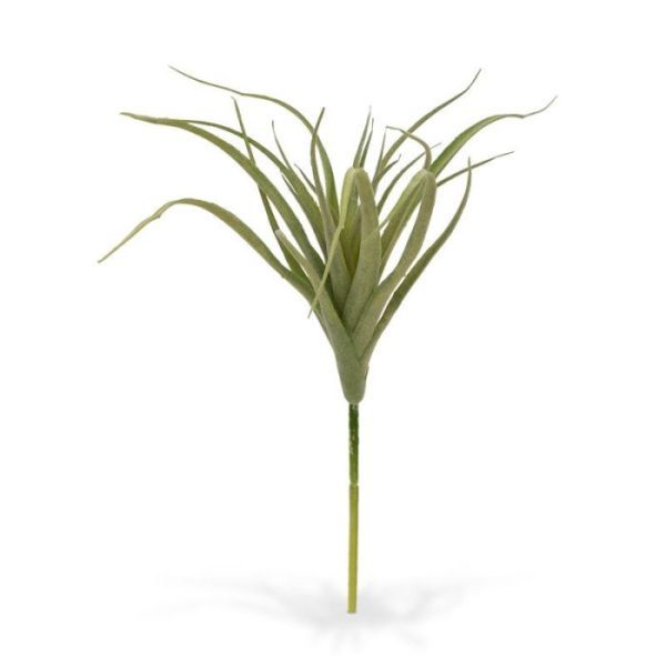 Tillandsia steker 20 cm 5