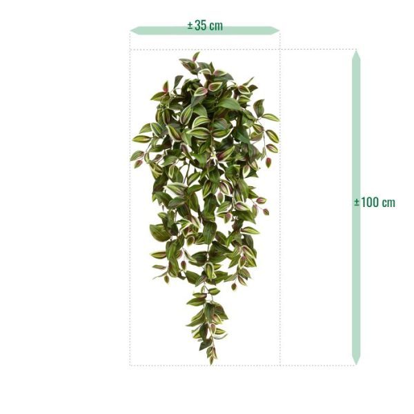 is vooral bekend on zijn brede langwerpige bladeren met donker- en lichtgroene strepen en een vleugje paars. Een bijzonder decoratieve hangplant aan een balustrade of muur. De lengte van de natuurgetrouw nagemaakte Tradescantia plant is ongeveer 100 cm