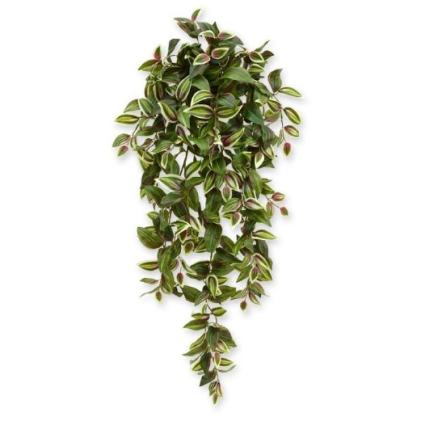 Tradescantia hangplant 100 cm bont 8