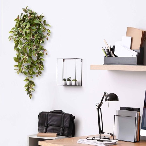 Tradescantia hangplant 100 cm bont 9