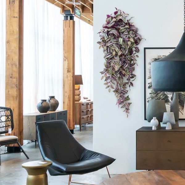 Tradescantia hangplant 100 cm paars 9