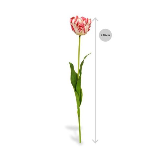 bekend uit zijn schilderijen. Speciaal deze versie die exclusief door Maxifleur is ontworpen en voor ons wordt geproduceerd. Deze schitterende kunst steelbloem is net echt! De Tulp is opgebouwd uit een steel met 2 echte aanvoelde bladeren en een prachtige volle bloem. De grote bloem meet ongeveer 8 tot 10 cm breed en heeft zeer verfijnd nagemaakt hart. De kunst van Gogh Tulp wordt standaard als losse steel geleverd en kan daardoor makkelijk verwerkt worden tot prachtige kunstboeketten. De steel heeft een lengte van ongeveer 68 cm en is verkrijgbaar in het rood-wit