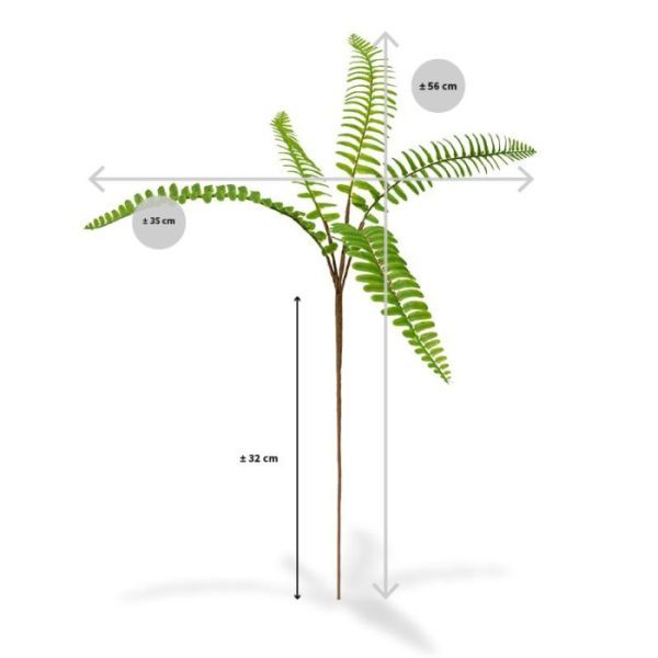 Deze Varen kunsttak is bijzonder mooi nagemaakt. De plastic kunsttak bestaat uit 5 zijtakken met een bruine nerf van waaruit de bladeren ontspringen. Hierdoor heeft deze Varen een heel natuurlijke uitstraling. De lengte is ongeveer 56 cm