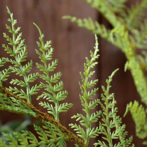 Kunst bladtakken Varen kunsttak PL x2 80 cm 2